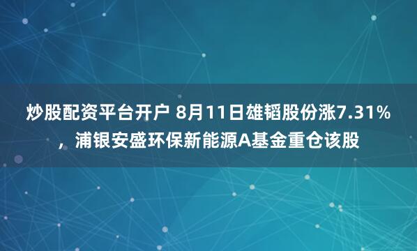 炒股配资平台开户 8月11日雄韬股份涨7.31%，浦银安盛环保新能源A基金重仓该股