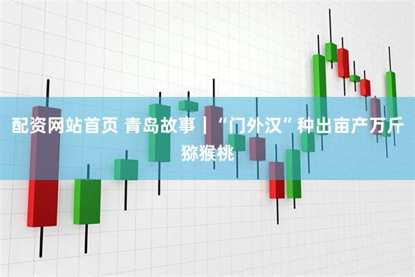 配资网站首页 青岛故事｜“门外汉”种出亩产万斤猕猴桃